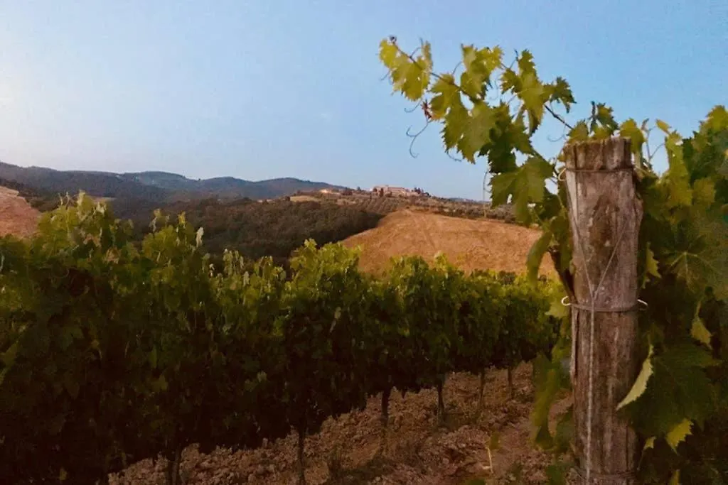 Premiere Apartments - Residenza Le Rose Nel Chianti Lornano 0*,