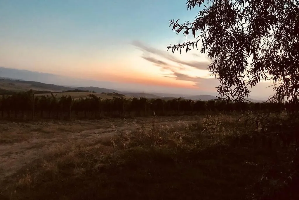 Premiere Apartments - Residenza Le Rose Nel Chianti Lornano