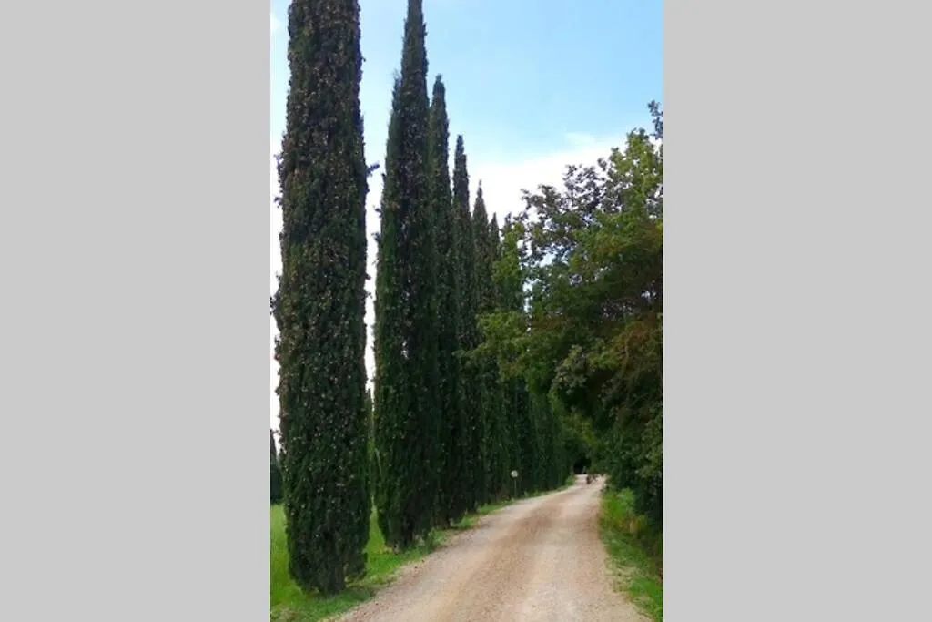 Premiere Apartments - Residenza Le Rose Nel Chianti Lornano Italy
