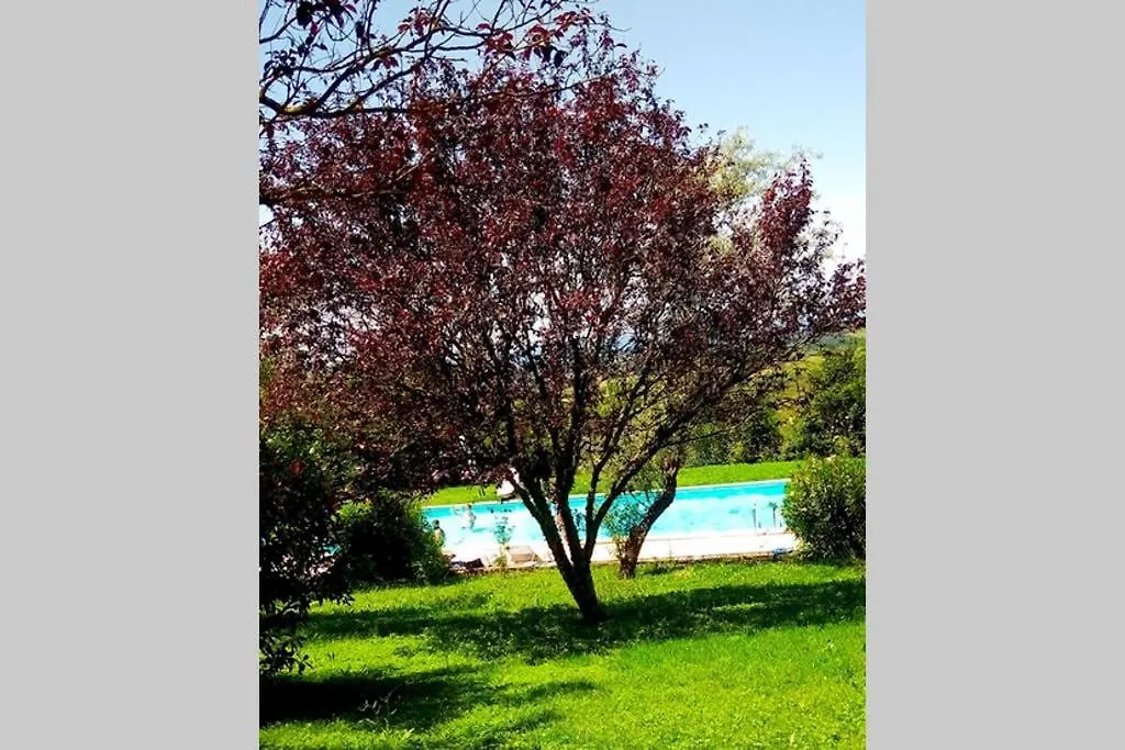 Premiere Apartments - Residenza Le Rose Nel Chianti Lornano 0*,